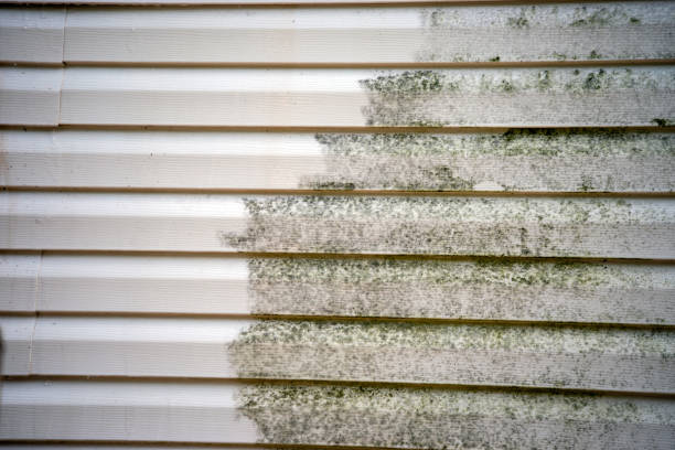 Affordable Siding Repair and Maintenance Services in Harbor Springs, MI